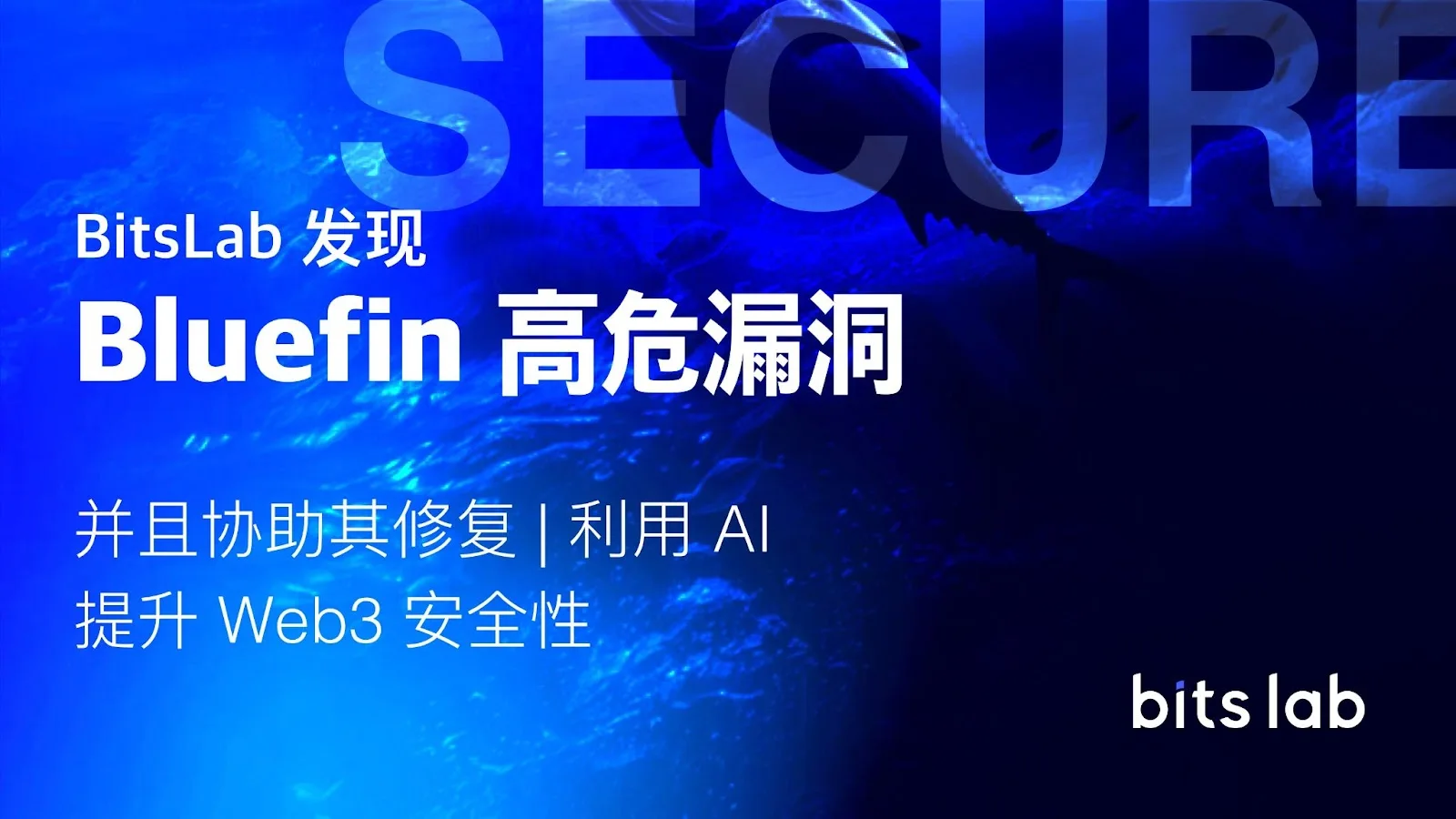 BitsLab AI工具发现并修复Bluefin高风险漏洞